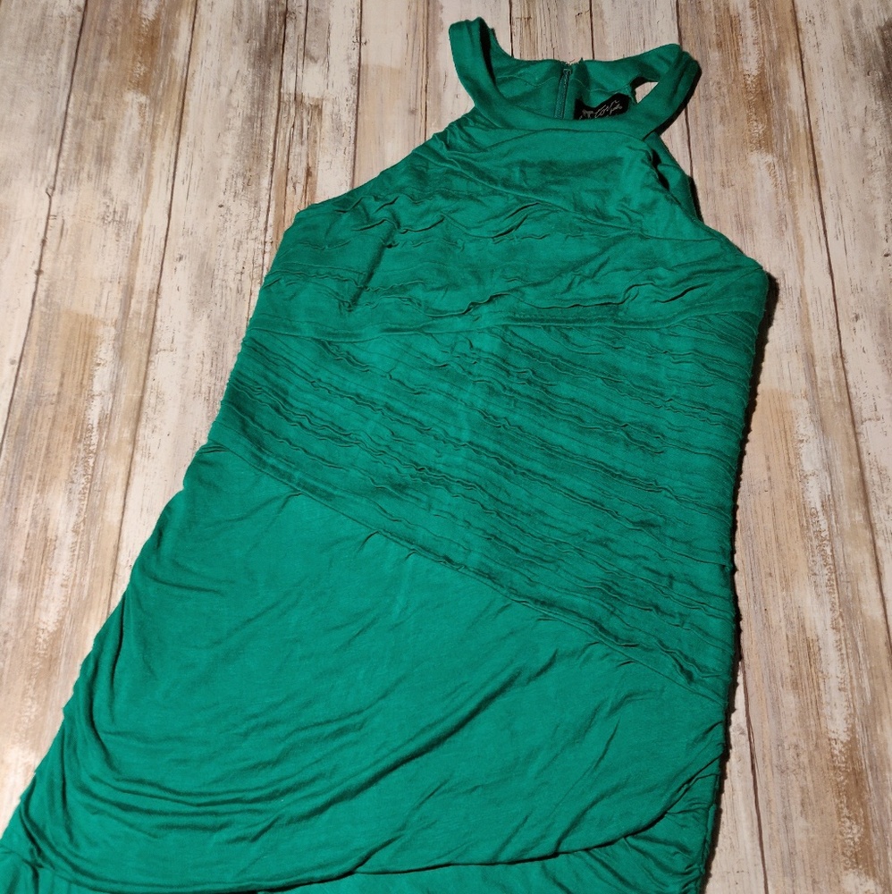 Torn by Ronny Kobo dress